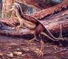 skrepnick sinosauropterx