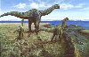 camarasuarus