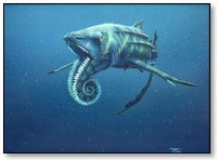 tm_helicoprion.jpg