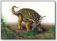 tm_nodosaur.jpg