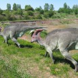 Parasaurolophus by Magdalen (Magda)