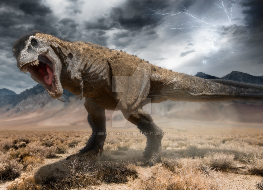 Tarbosaurus by Herschel Hoffmeyer