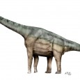 Brachiosaurus by Sergio Perez