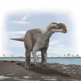 Muttaburrasaurus by Anthony