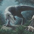 Dilong by Alex Lovegrove
